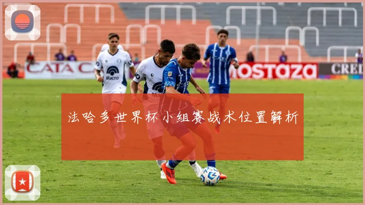 法哈多世界杯小组赛战术位置解析