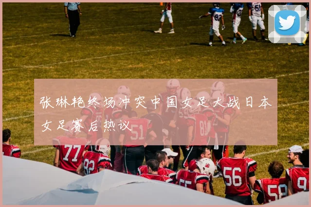 张琳艳终场冲突中国女足大战日本女足赛后热议