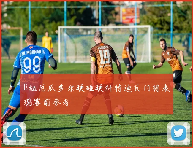 E组厄瓜多尔硬碰硬科特迪瓦门将表现赛前参考
